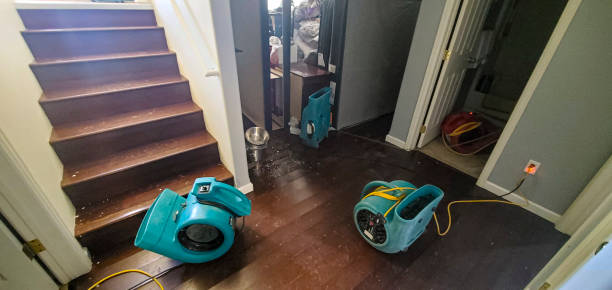 Best Ceiling water damage repair  in Red Springs, NC