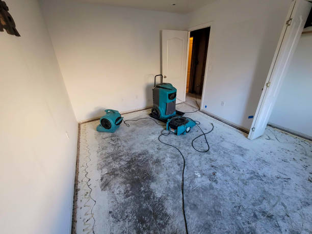 Best Ceiling water damage repair  in Red Springs, NC