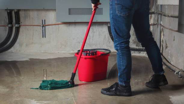 Best Mold removal after water damage  in Red Springs, NC