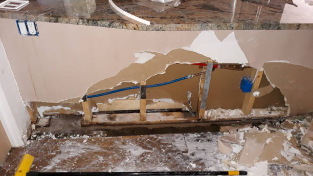 Best Water damage cleanup near me  in Red Springs, NC