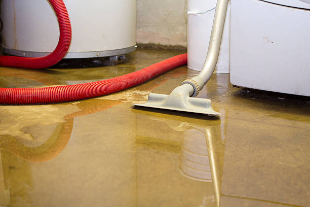 Best Professional water damage repair  in Red Springs, NC
