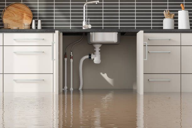 Best Flood restoration services  in Red Springs, NC