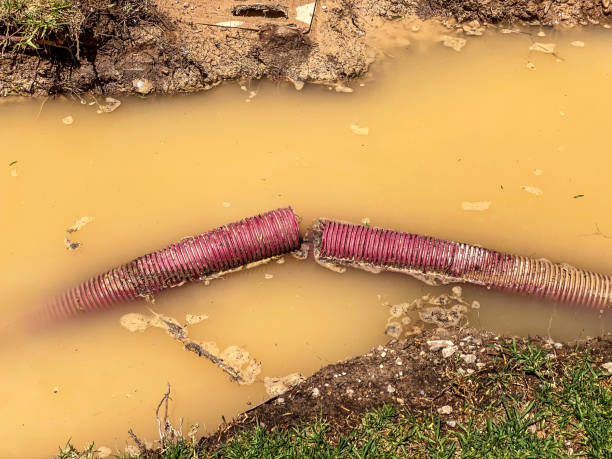 Best 24-hour water damage restoration  in Red Springs, NC